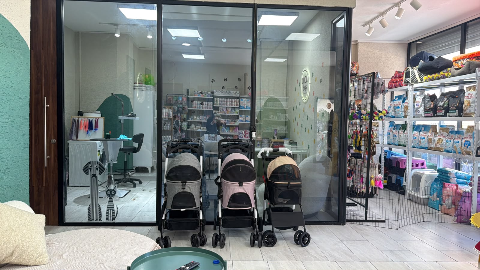 Cool Dogs salon iç mekan geniş görünüm